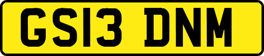 GS13DNM
