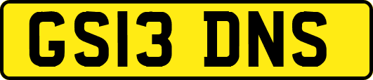 GS13DNS