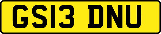 GS13DNU
