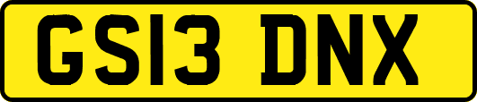 GS13DNX