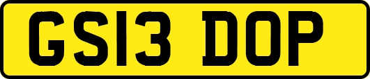 GS13DOP