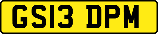 GS13DPM