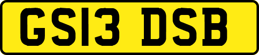 GS13DSB