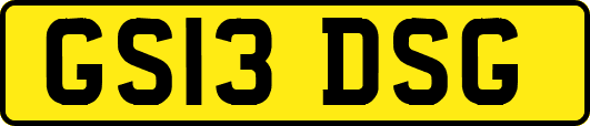 GS13DSG