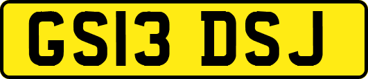 GS13DSJ