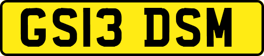 GS13DSM