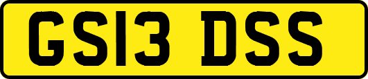 GS13DSS