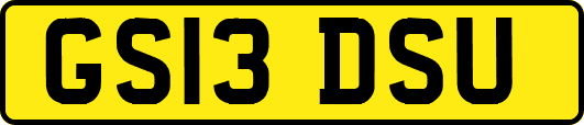 GS13DSU