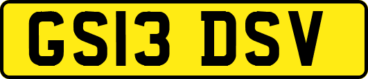 GS13DSV