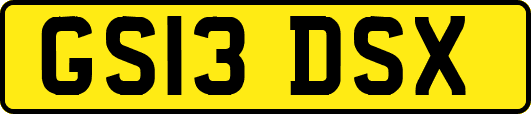 GS13DSX