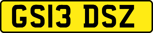 GS13DSZ
