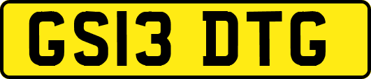 GS13DTG