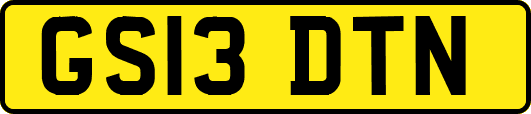 GS13DTN