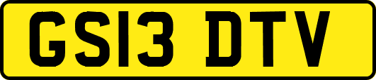 GS13DTV