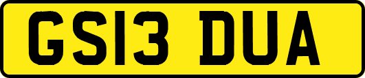 GS13DUA