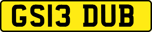 GS13DUB