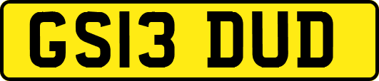 GS13DUD
