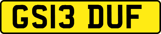GS13DUF