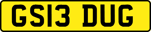 GS13DUG