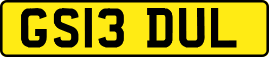 GS13DUL
