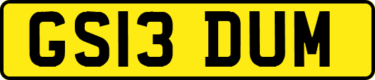 GS13DUM