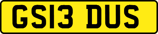 GS13DUS
