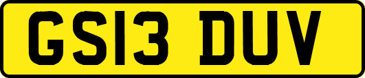 GS13DUV