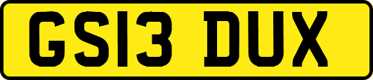 GS13DUX