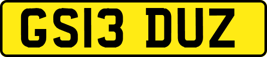 GS13DUZ