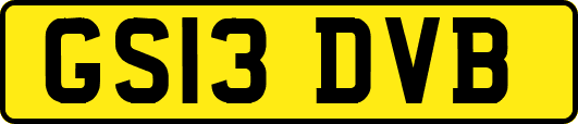 GS13DVB