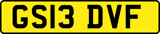 GS13DVF