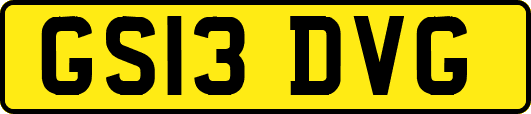 GS13DVG