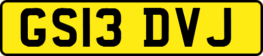 GS13DVJ