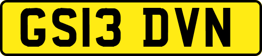 GS13DVN