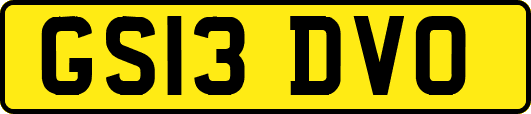 GS13DVO