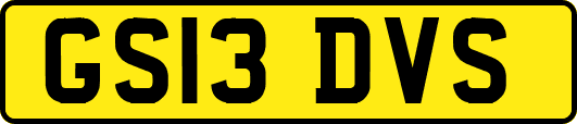 GS13DVS