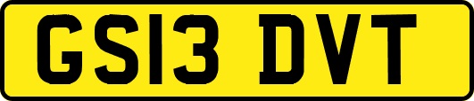 GS13DVT