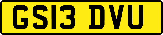 GS13DVU
