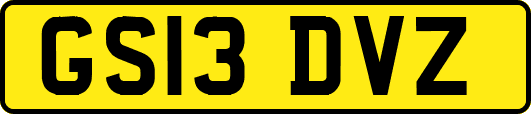 GS13DVZ