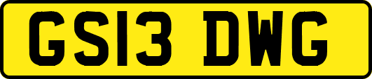 GS13DWG