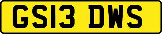 GS13DWS