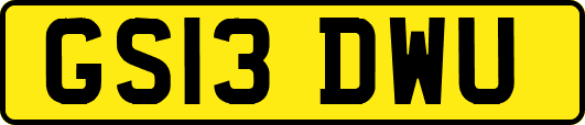 GS13DWU