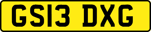 GS13DXG