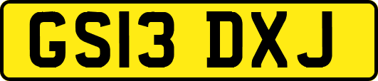 GS13DXJ