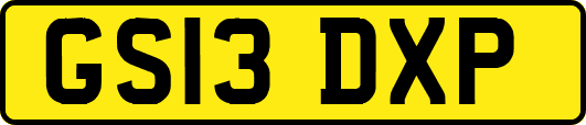 GS13DXP