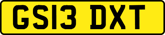 GS13DXT