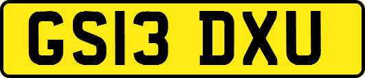 GS13DXU