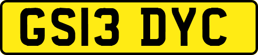 GS13DYC