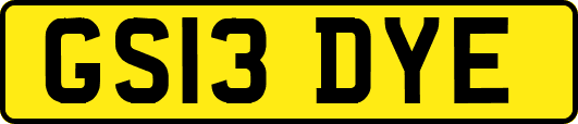 GS13DYE