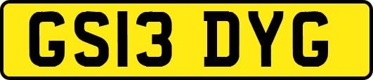GS13DYG